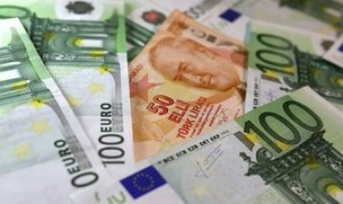 Devlet Döviz Borcunu Artırmayı Düşünmezken Özel Sektörün de Benzer Bir Tutum İçinde Olduğu Görülüyor