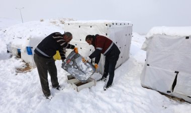 VAN BÜYÜKŞEHİR BELEDİYESİ SOĞUK KIŞ GÜNLERİNDE SOKAK HAYVANLARINI SAHİPSİZ BIRAKMIYOR