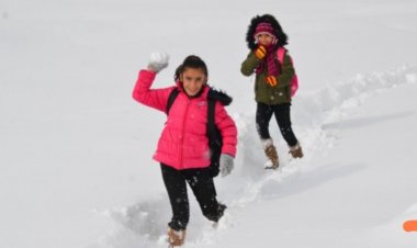 Van'da Okullar 14.01.2022 Tarihinde Bir Gün Tatil Edildi!
