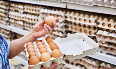 KDV İNDİRİMİ YUMURTADA ETKİSİZ KALDI !