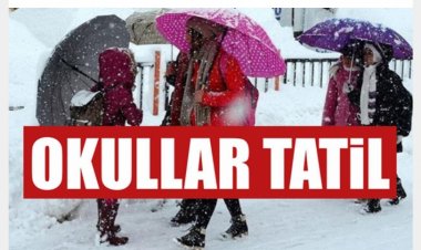 VAN MERKEZ İLÇELER DE YARIN OKULLAR TATİL!