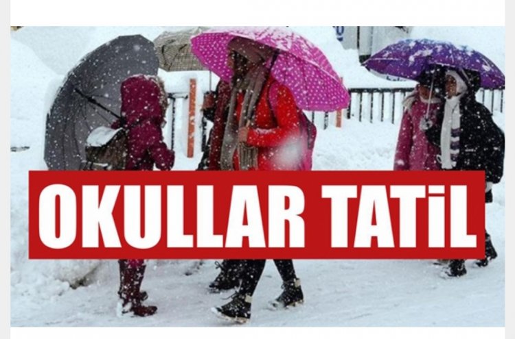 VAN MERKEZ İLÇELER DE YARIN OKULLAR TATİL!