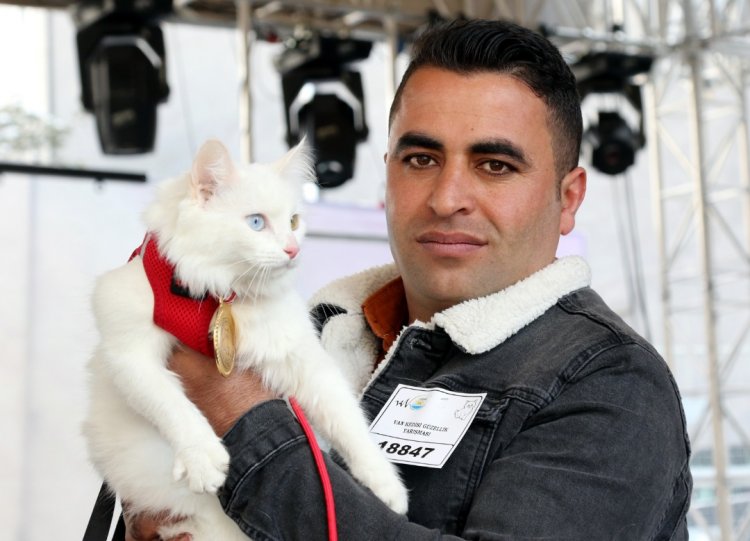 VAN'IN EN GÜZEL KEDİSİ SEÇİLDİ!