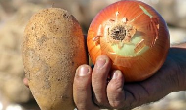 TEZGAHTAKİ FİYATLAR İNİYOR! FİYAT ARTIŞININ ARKASINDAN YİNE STOKÇULAR ÇIKTI!