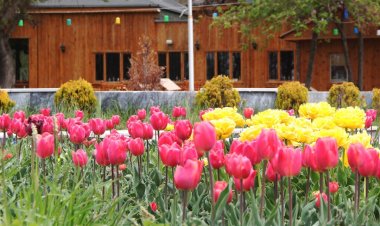 VAN’DA BÜYÜKŞEHİR İLKBAHARIN GÜZELLİĞİNE RENK  KATTI!