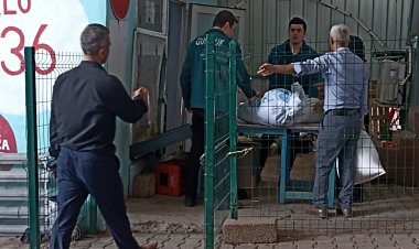 ÜZÜMLÜ SINIR KAPISININ AÇILMASI HALK AÇISINDAN OLUMSUZ TARAFLARI NELERDİR?