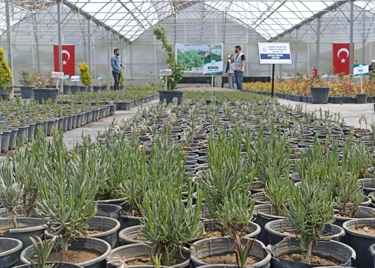 VAN'IN EDREMİT İLÇESİNDE TÜNEL SERALAR AÇILIŞI YAPILDI