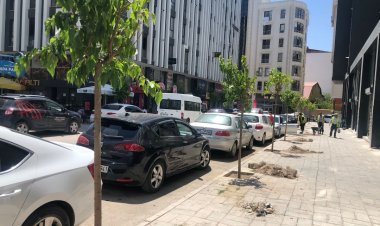 İPEKYOLU BELEDİYESİ YEŞİL ALAN KAZANDIRMA ÇALIŞMALARINA HIZ VERDİ!