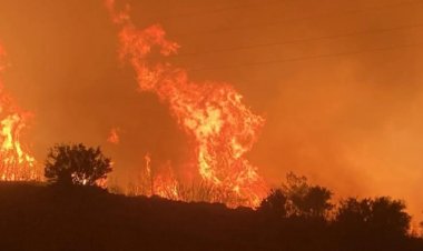 MERSİN ALEV ALEV... YANGIN SÜRÜYOR