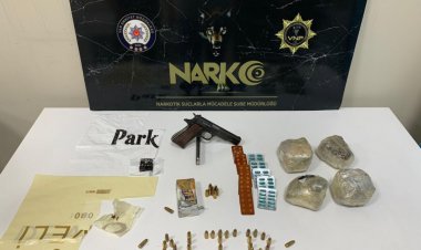 VAN'DA TORBACI OPERASYONU: 29 ŞAHSA YASAL İŞLEM BAŞLATILDI!