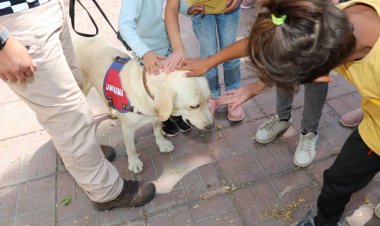 İŞİTMEYEN KULAK DEĞİL KALPTİR