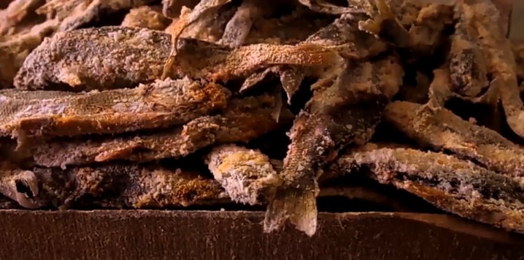 VAN FED'DEN VAN İSTANBUL'DA: BÜYÜK BİR ORGANİZASYONLA  4 GÜN VAN KONUŞULACAK 