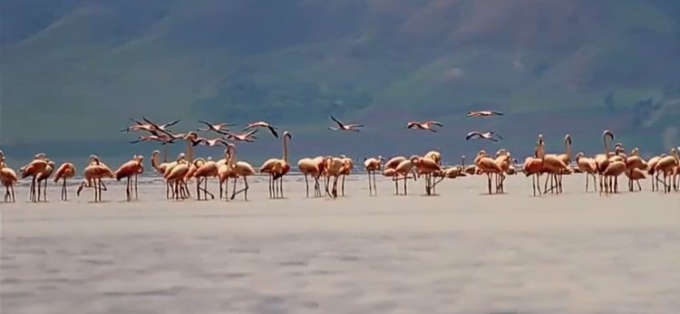 VAN FED'DEN VAN İSTANBUL'DA: BÜYÜK BİR ORGANİZASYONLA  4 GÜN VAN KONUŞULACAK 