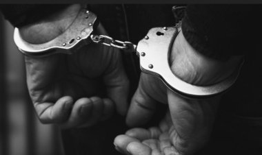 VAN'DA BİR AY İÇERİSİNDE 198 ŞAHIS YAKALANDI!