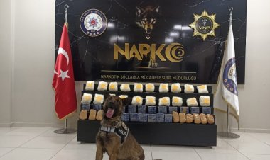 VAN'DA NARKOTİK DEDEKTÖR KÖPEĞİ JUNO 37 KİLO 600 GRAM UYUŞTURUCU MADDE TESPİT ETTİ!