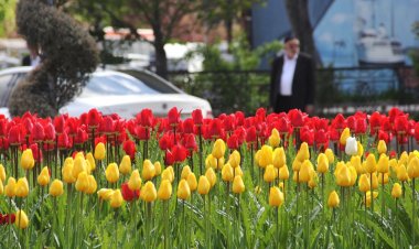 LALELER, KENTİ SÜSLEDİ!