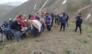 VAN'IN BAŞKALE İLÇESİNDE 2 ÇOBANA YILDIRIM ÇARPTI!