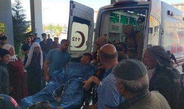 VAN'DA HAYVAN OTLATMA YÜZÜNDEN KAVGA ÇIKTI: 4 KİŞİ YARALANDI!