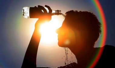 ÇUKUROVA ÜNİVERSİTESİ AÇIKLADI: MEVSİMLER 3 HAFTA KAYDI