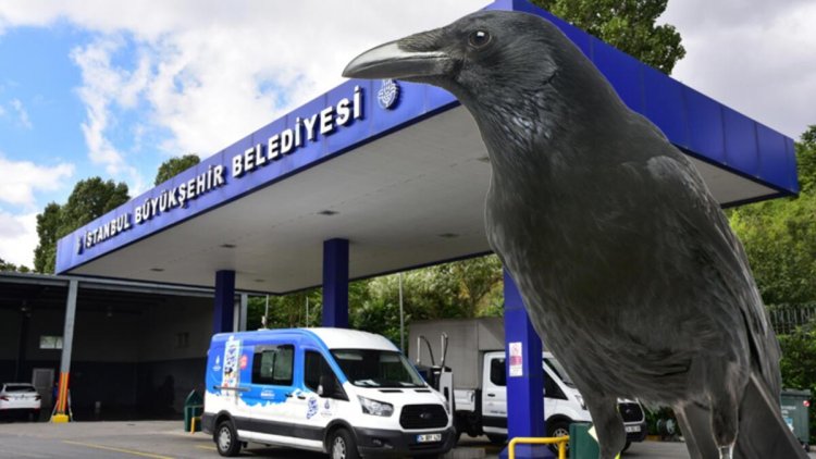 DEDEKTİF KARGA DELİL BIRAKTI: İKİ PARMAĞIN OTOPSİ RAPORU ÇIKTI!