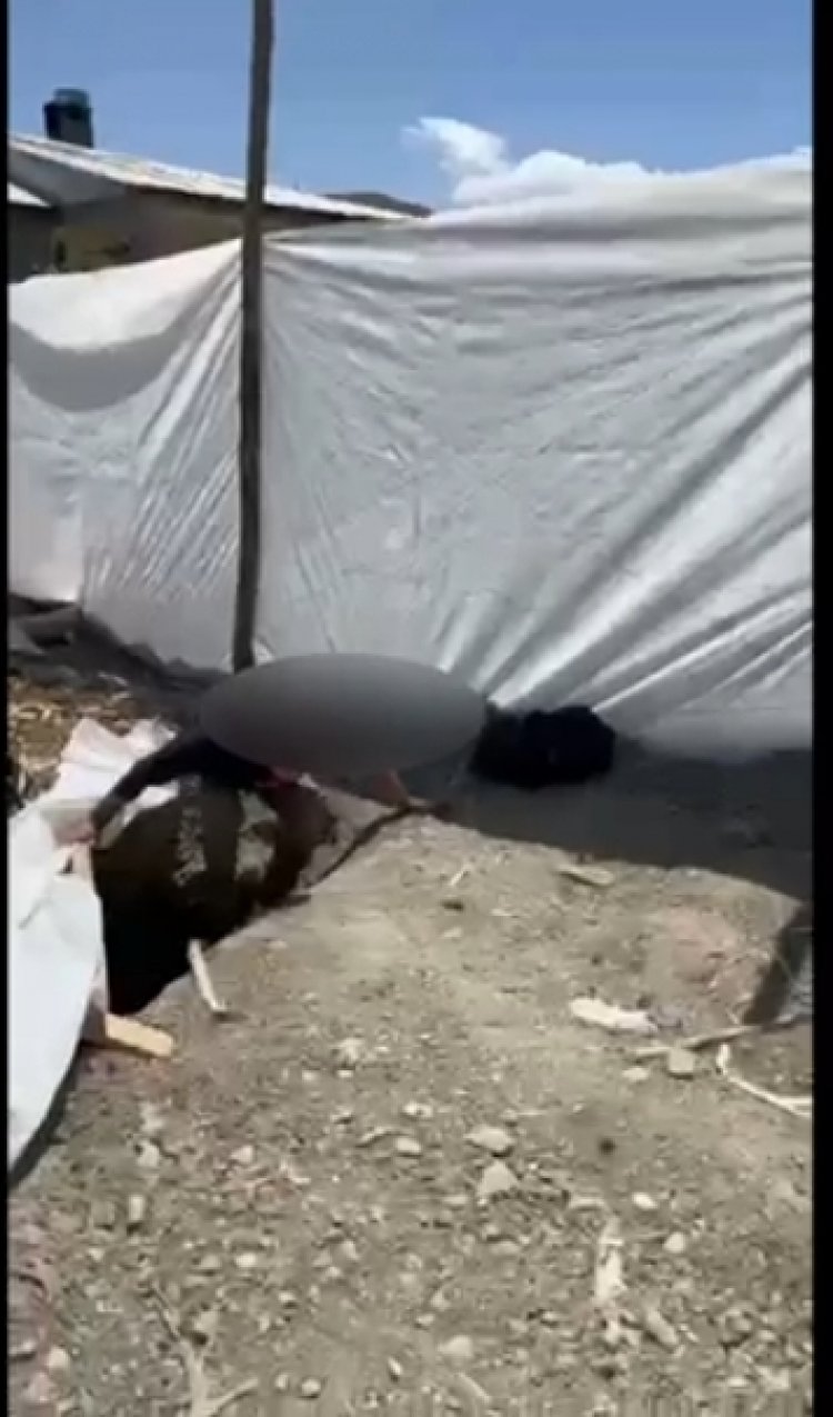 VAN'DA METRUK BİR YAPIDA ONLARCA GÖÇMEN YAKALANDI!