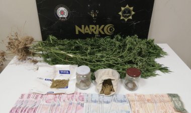 VAN'DA ZEHİR TACİRLERİNE GÖZ AÇTIRILMIYOR :19 KİŞİ YAKALANDI!