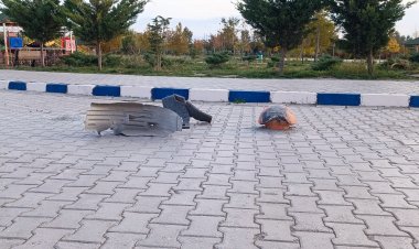 VAN DURSUN ODABAŞ HASTANESİNİN SORUNLARINDAN BİRİ DAHA: PARK MANTARI...
