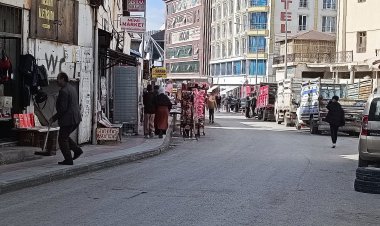 VANLILAR NEDEN YOL ORTASINDAN YÜRÜYOR!