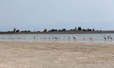 ARİN GÖLÜ KURUMAYLA YÜZ YÜZE KALMIŞ ...
