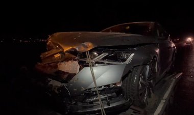 VAN MURADİYE-ÇALDIRAN KARAYOLUNDA OTOMOBİL KOYUN SÜRÜSÜNE ÇARPTI