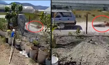 ANTALYA'DA KÖPEK YÜZÜNDEN ÇIKAN KAVGA SONUCU KOMŞUSUNU ARACIN ARKASINDAN SÜRÜKLEDİ 