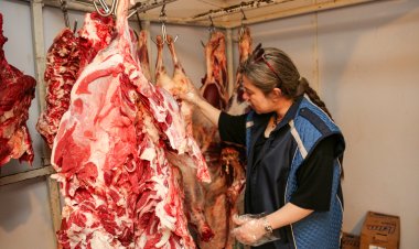 VAN BÜYÜKŞEHİR VATANDAŞLARIN SAĞLIKLI VE GÜVENLİ GIDAYA ULAŞMASI İÇİN DENETİMLERİNİ SÜRDÜRÜYOR! 