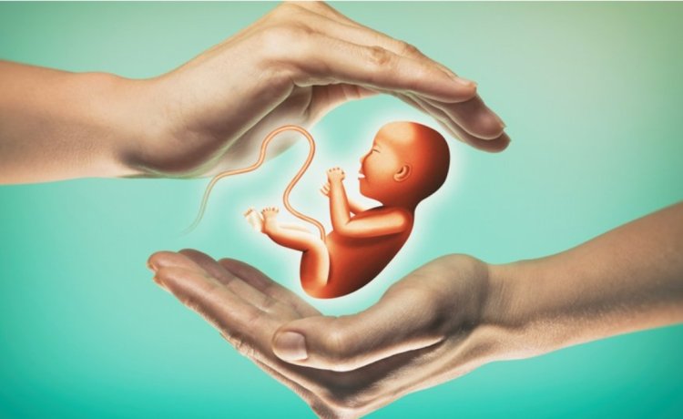 ARTIK VANLILAR ŞEHİR DIŞINA GİTMEYECEK: İLK ADIMLAR ATILDI!