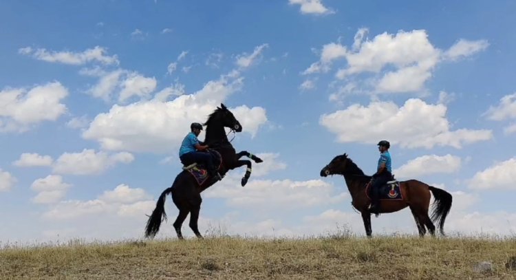 JASAT FARKLI SUÇLARDAN YÜZLERCE ŞAHSI YAKALADI