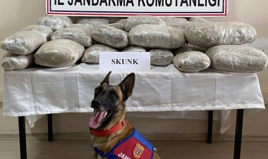 VAN'DA SKUNK (UYUŞTURUCU HAMMADDESİ) ELE GEÇİRİLDİ!