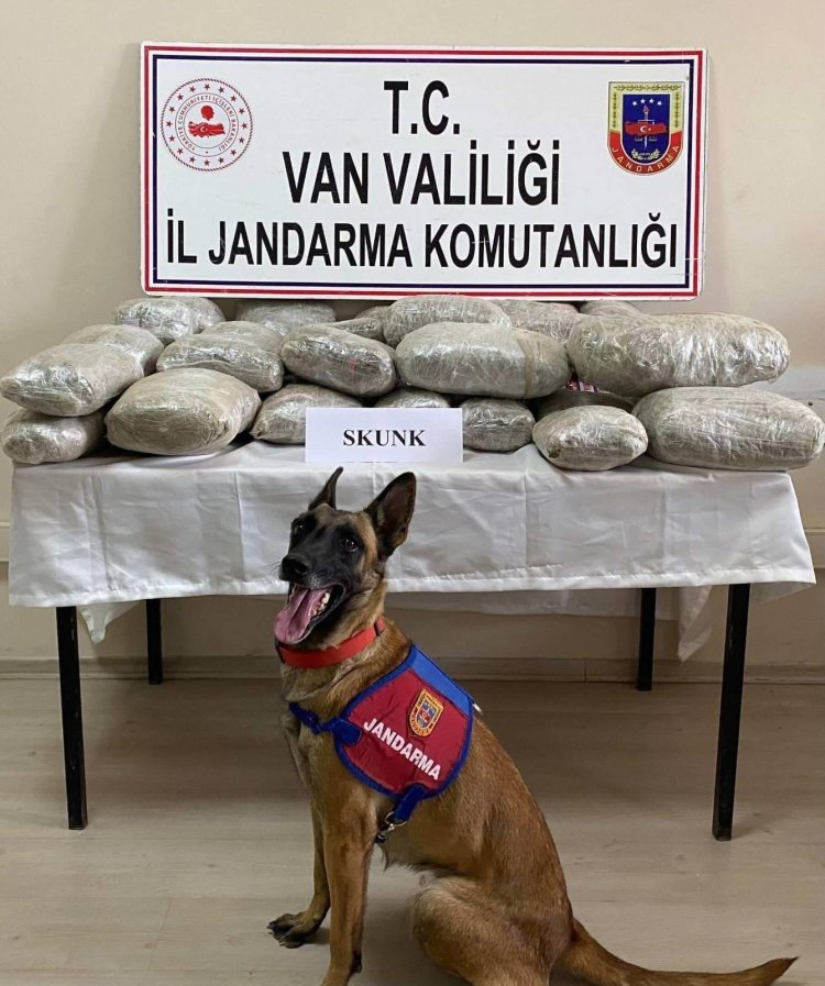 VAN'DA SKUNK (UYUŞTURUCU HAMMADDESİ) ELE GEÇİRİLDİ!