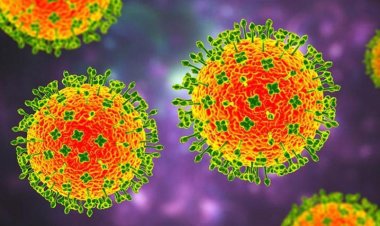 GİZEMLİ VİRÜSÜN ADI HMPV