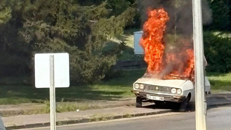 TBMM Önünde Beyaz Toros Yakıldı! 