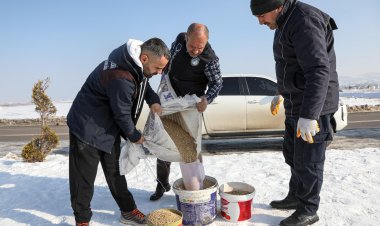 BÜYÜKŞEHİR'DEN YEMLEME SEFERBERLİĞİ: VAN'DA KANATLI DOSTLARIMIZA SICAK DOKUNUŞ