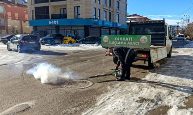Van’da Sivrisineklere "Kış" Darbesi: Büyükşehir Ekipleri Sahada!