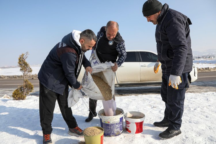 BÜYÜKŞEHİR'DEN YEMLEME SEFERBERLİĞİ: VAN'DA KANATLI DOSTLARIMIZA SICAK DOKUNUŞ