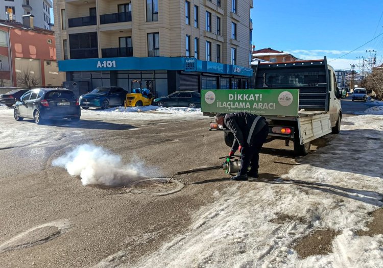 Van’da Sivrisineklere "Kış" Darbesi: Büyükşehir Ekipleri Sahada!