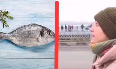 İstanbul Sahilinde "Özgürlük" Gerginliği: Vegan Kadın Emekli Balıkçının Kovasını Denize Boşalttı!