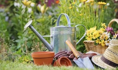 Hobi Bahçelerinde "Kaçak Abonelik" Dönemi Kapandı: Cezası Dudak Uçuklatıyor!