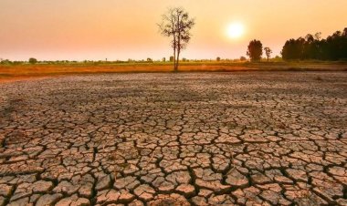 Bu Yaz Türkiye’de Süper El Nino Etkisi Bekleniyor: Temmu ve Ağustos’ta İstanbul’da 40 Derece