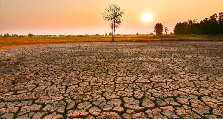 Bu Yaz Türkiye’de Süper El Nino Etkisi Bekleniyor: Temmu ve Ağustos’ta İstanbul’da 40 Derece