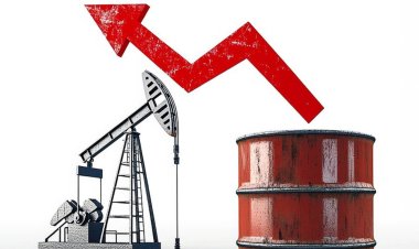 Akaryakıt Sektörüne Büyük Operasyon: 6 Şirkete El Konuldu, 10 Şirkete Kayyum Atandı