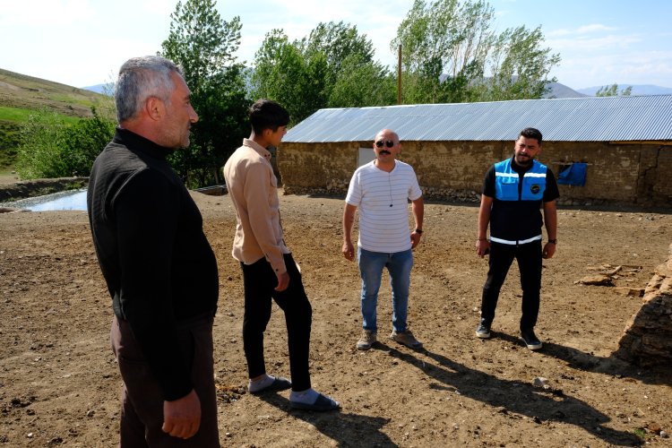 Köpek Tilki ve Koyunlara Saldırdı: İpekyolu Belediyesi Mahalleyi Karantinaya Aldı