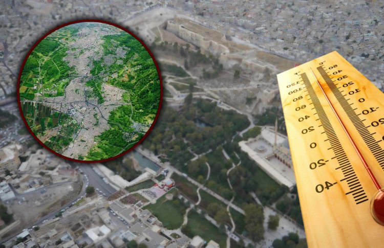 Kavurucu Afrika Sıcakları Türkiye'yi Vurdu, İlk Rekor Şanlıurfa'dan Geldi
