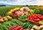 TARLADAN MARKETE UZANAN FİYAT OYUNU ORTAYA ÇIKTI: ÖLÜLER ADINA BİLE MİLYONLUK FATURA KESMİŞLER